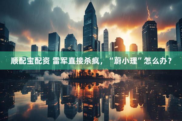 顺配宝配资 雷军直接杀疯，“蔚小理”怎么办？