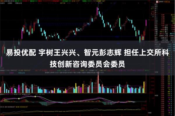 易投优配 宇树王兴兴、智元彭志辉 担任上交所科技创新咨询委员会委员
